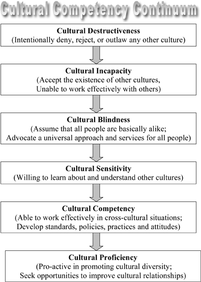 Cultural Competence And The Media
